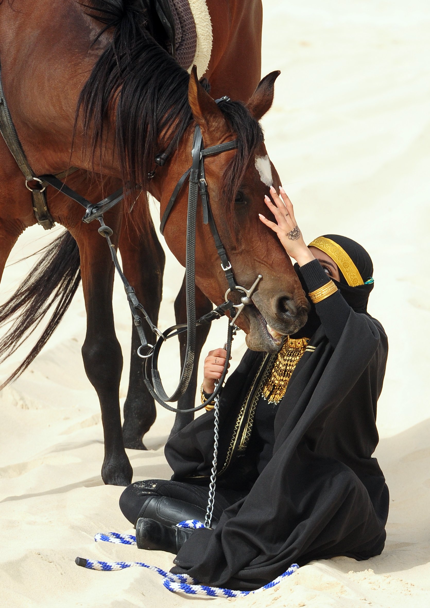 تصوير الخيل في بر المطار