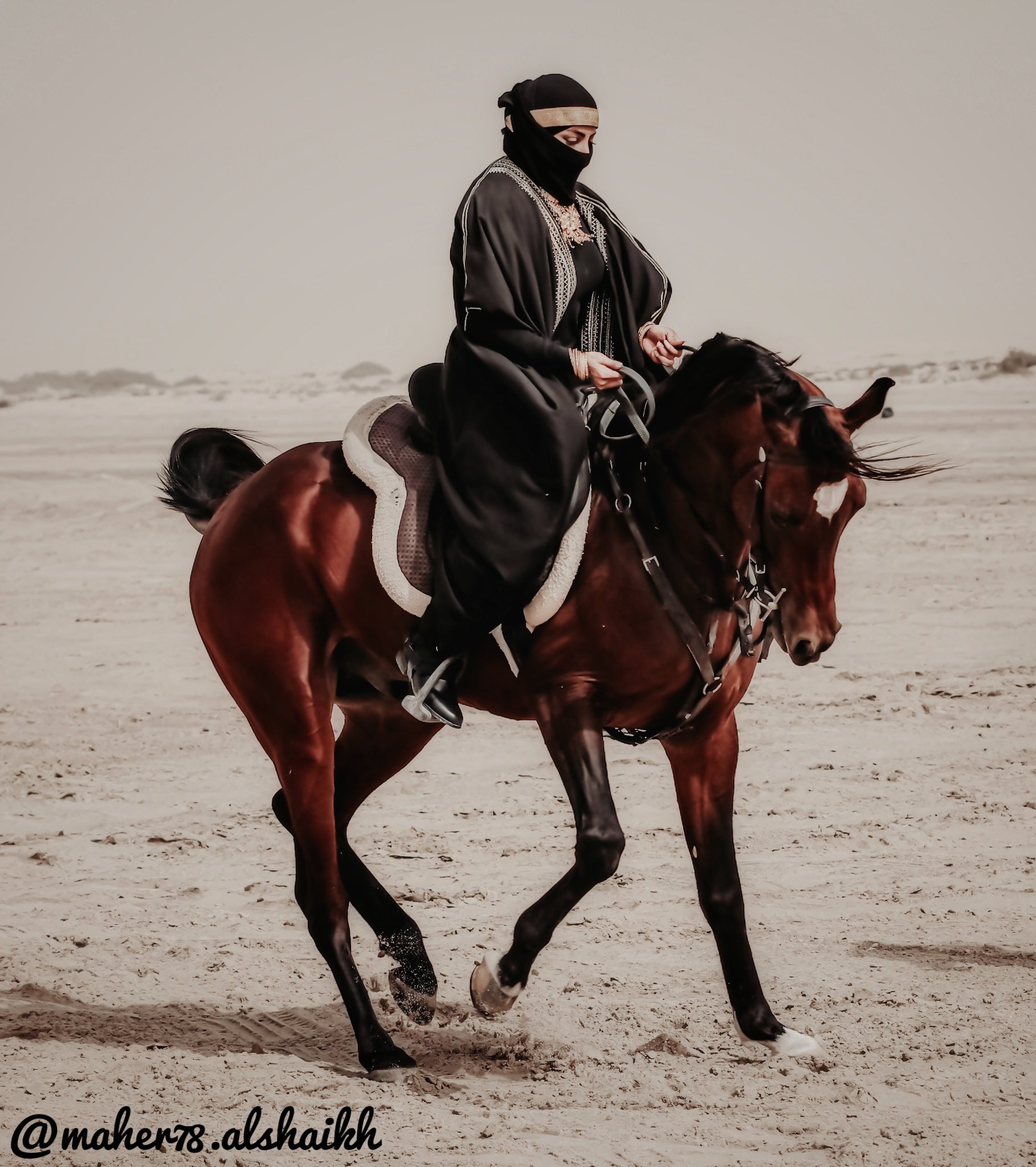 تصوير الخيل في بر المطار