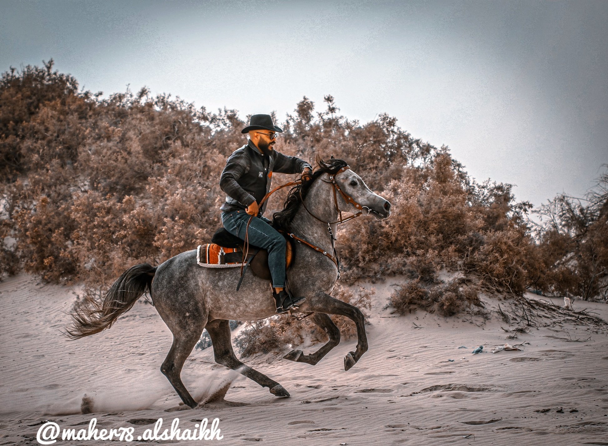 تصوير الخيل في بر المطار