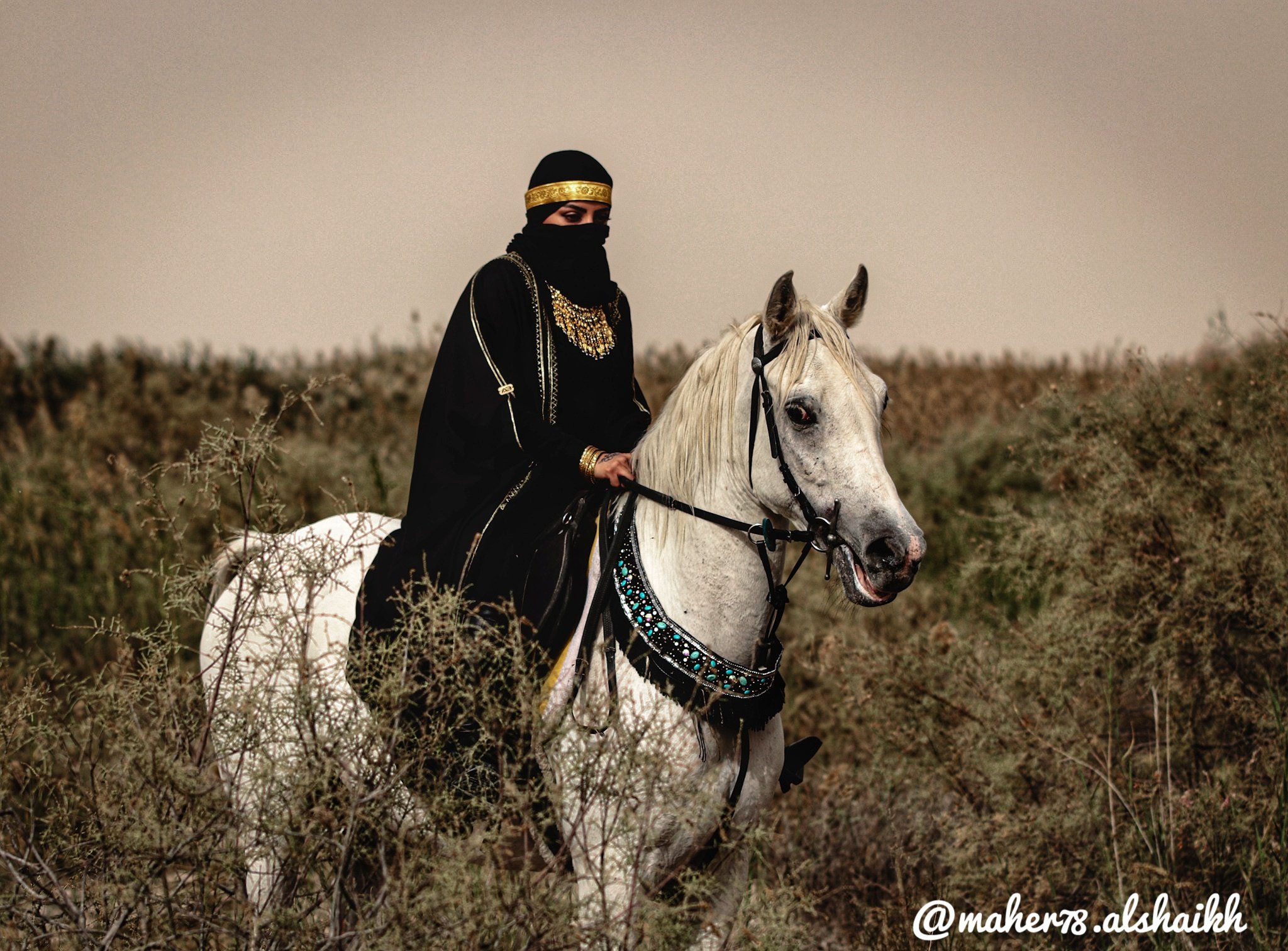 تصوير الخيل في بر المطار