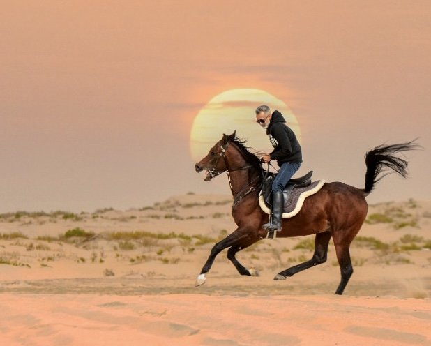 تصوير الخيل في بر المطار