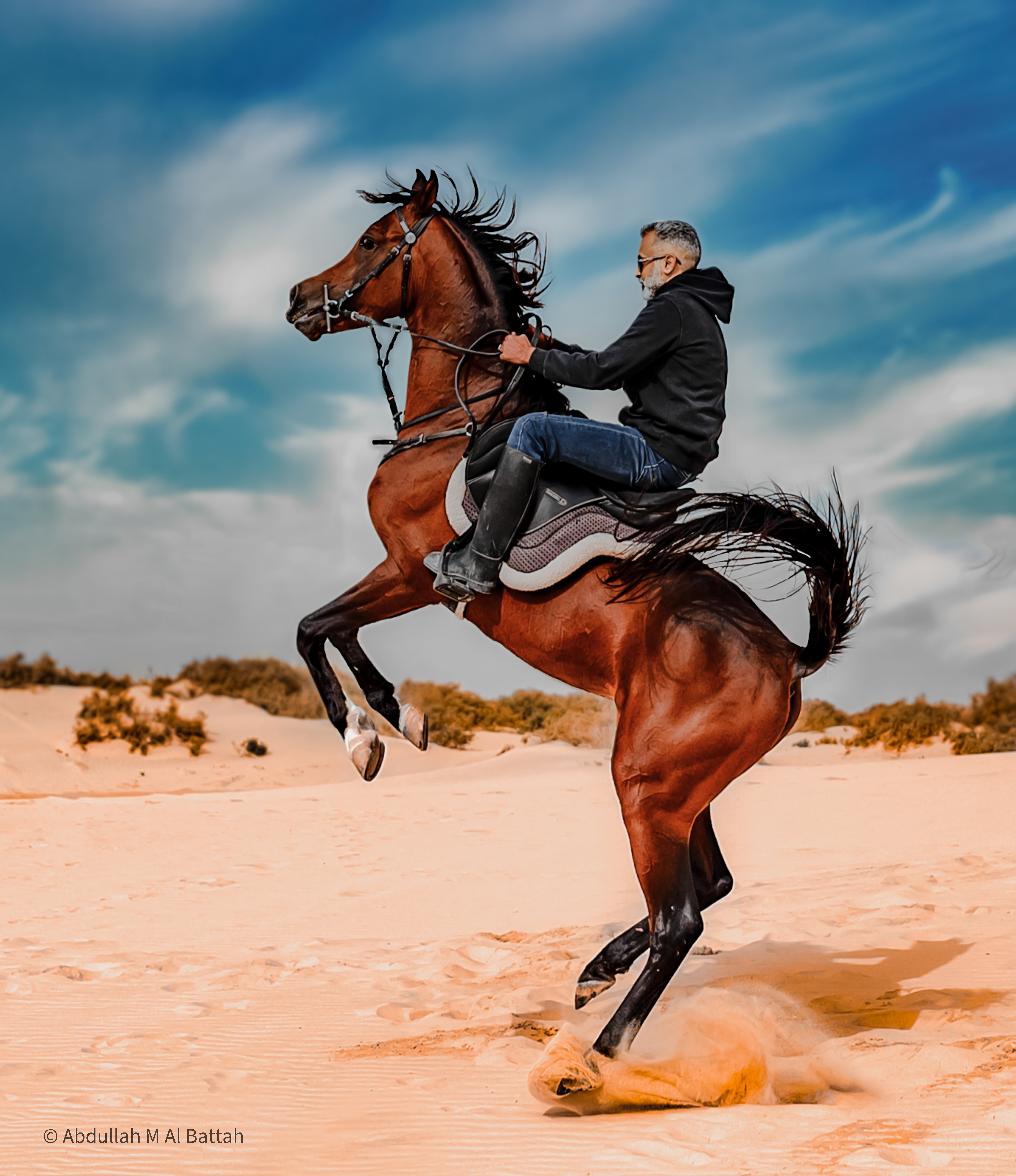 تصوير الخيل في بر المطار