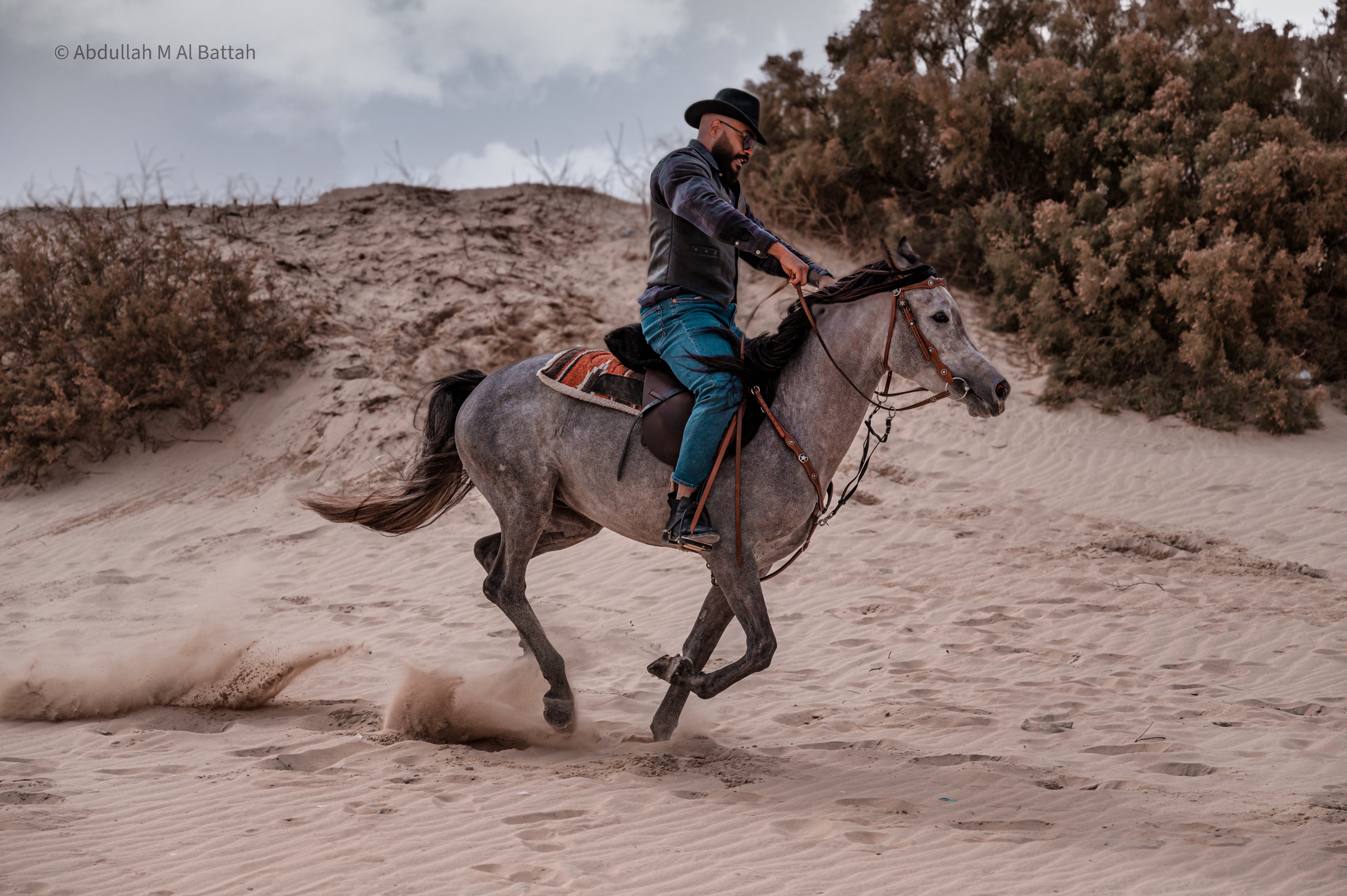 تصوير الخيل في بر المطار