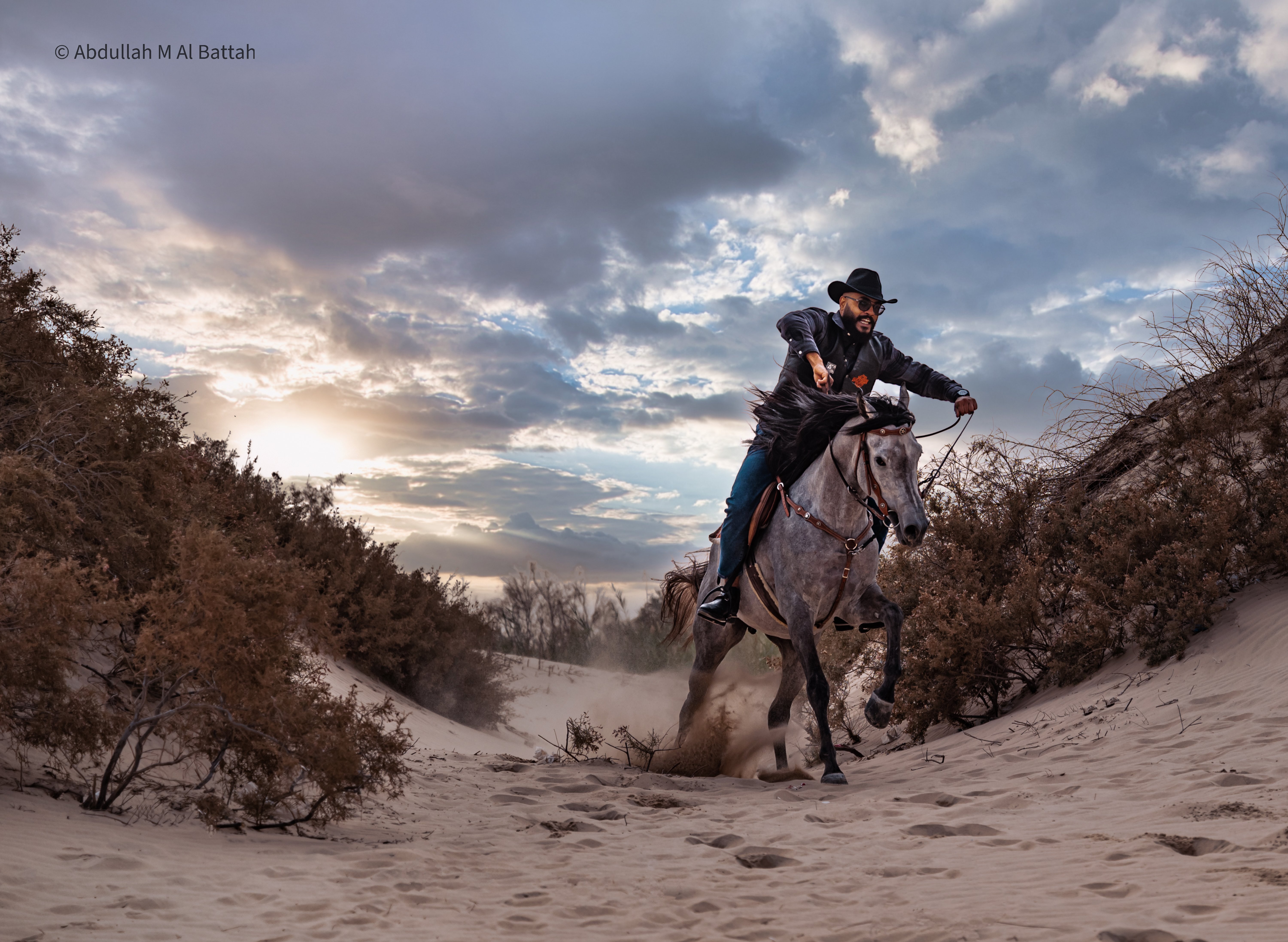 تصوير الخيل في بر المطار