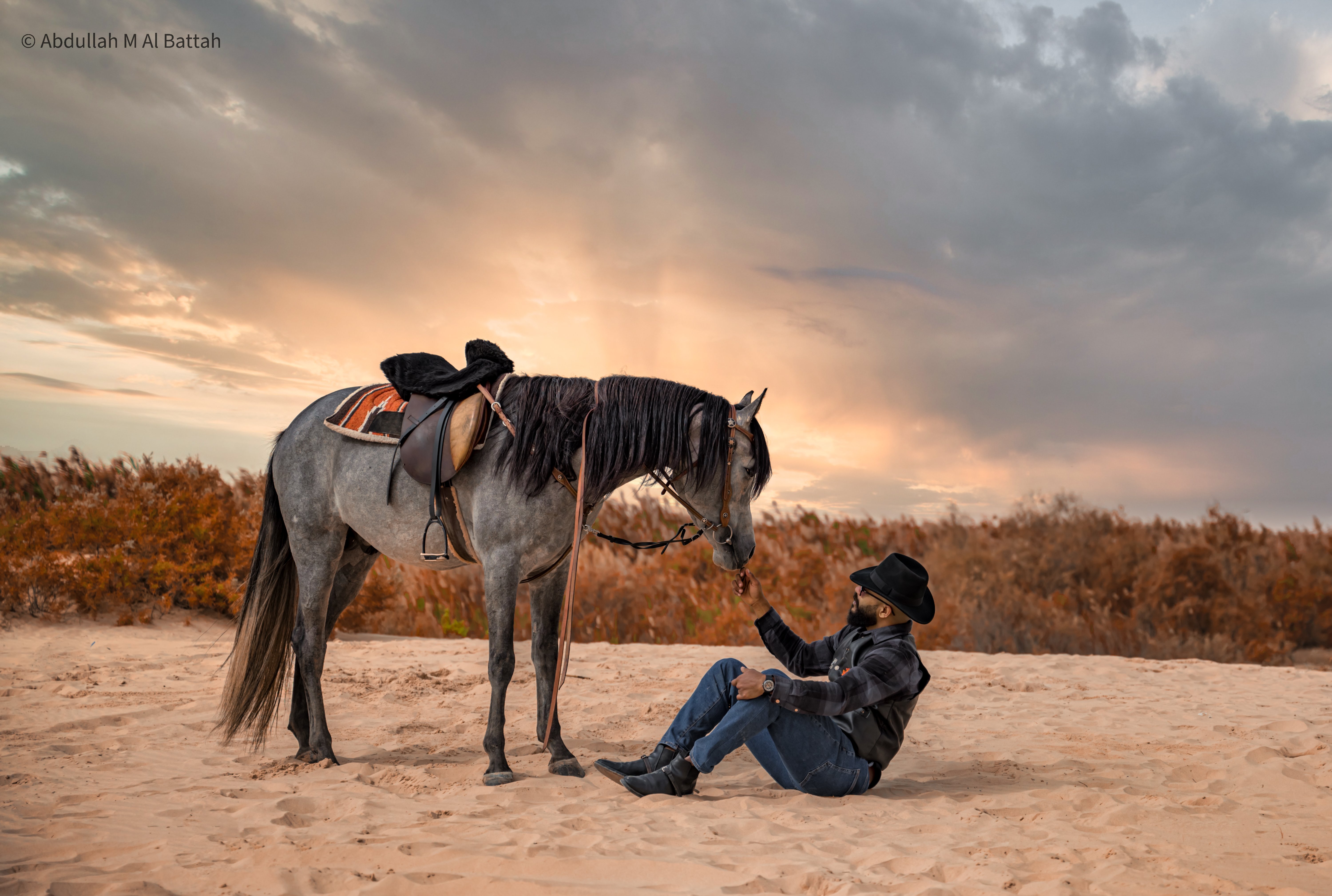 تصوير الخيل في بر المطار