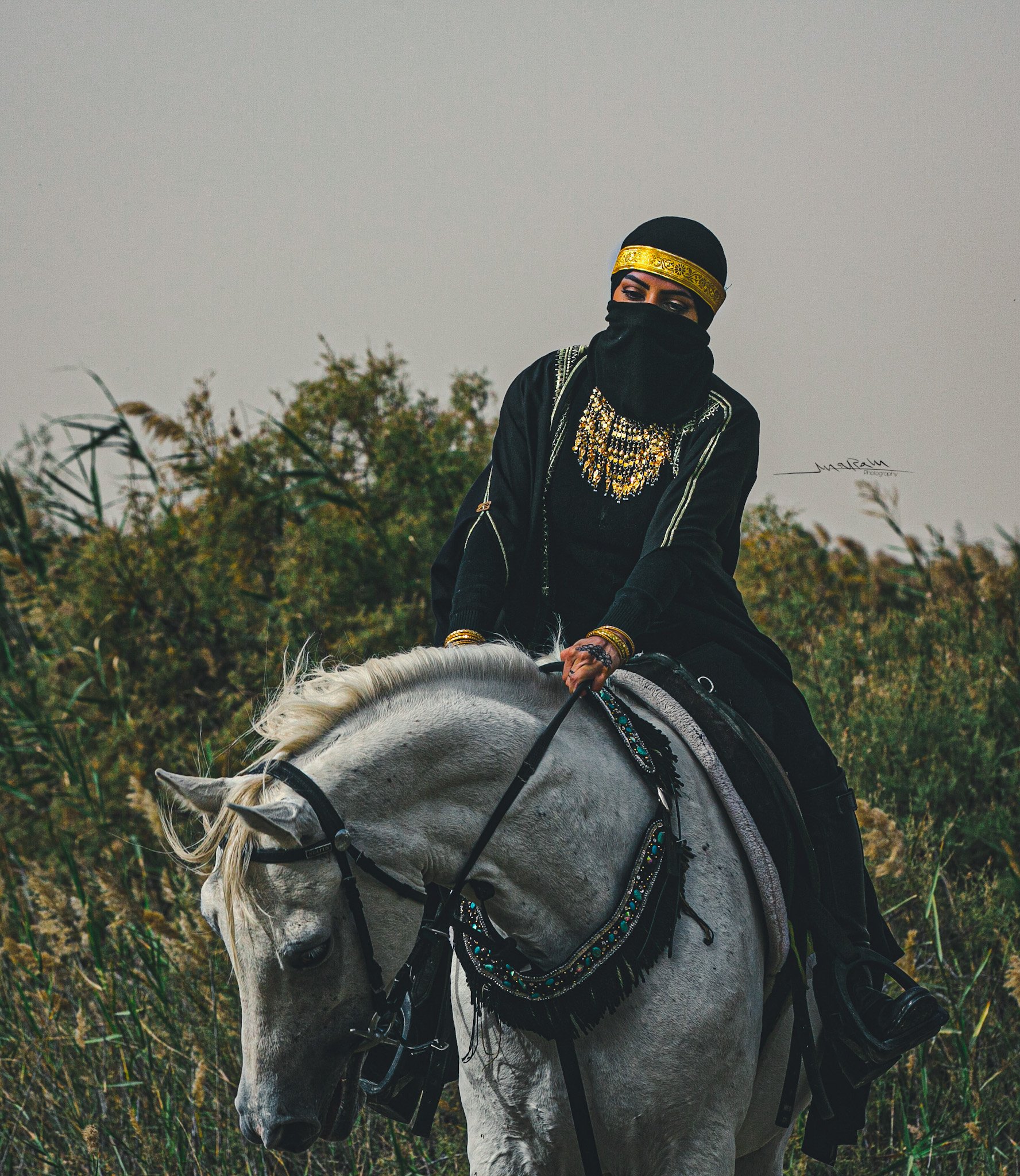تصوير الخيل في بر المطار
