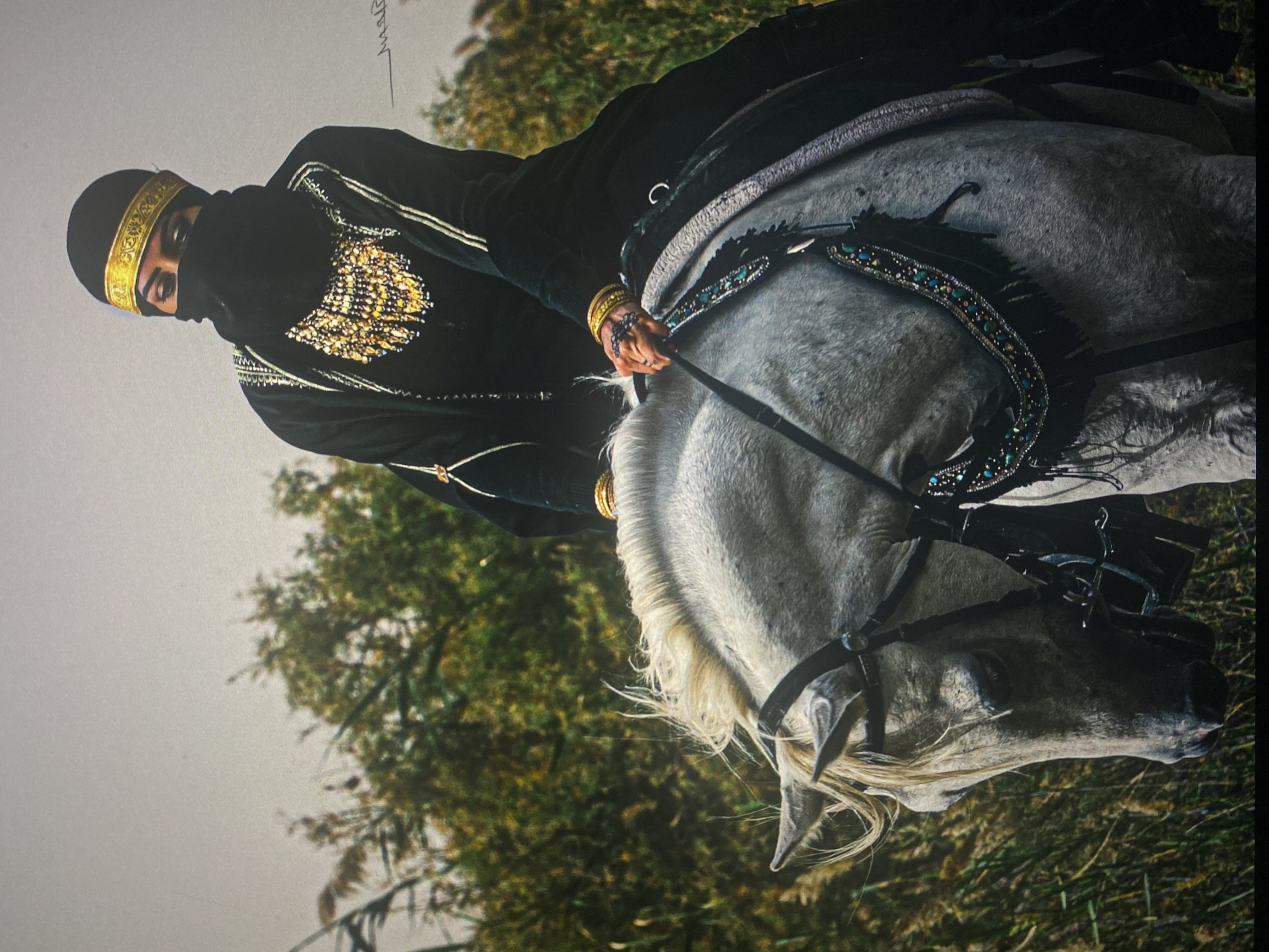 تصوير الخيل في بر المطار