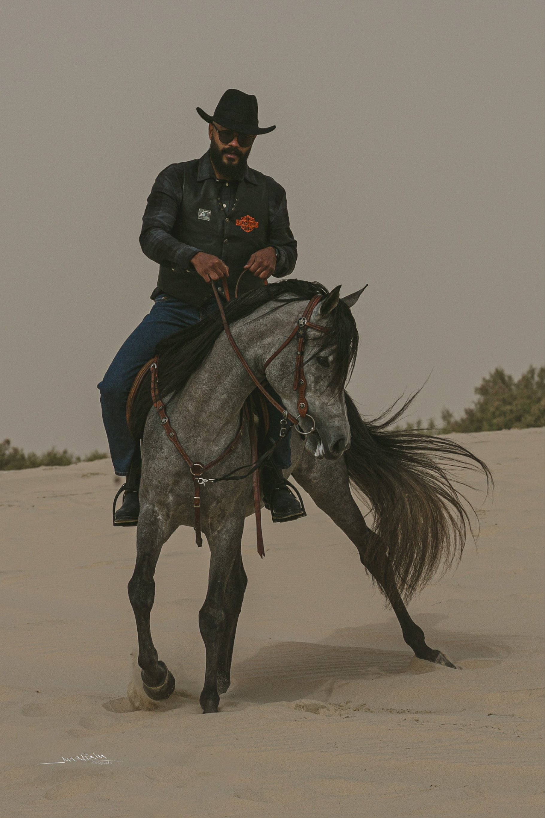 تصوير الخيل في بر المطار