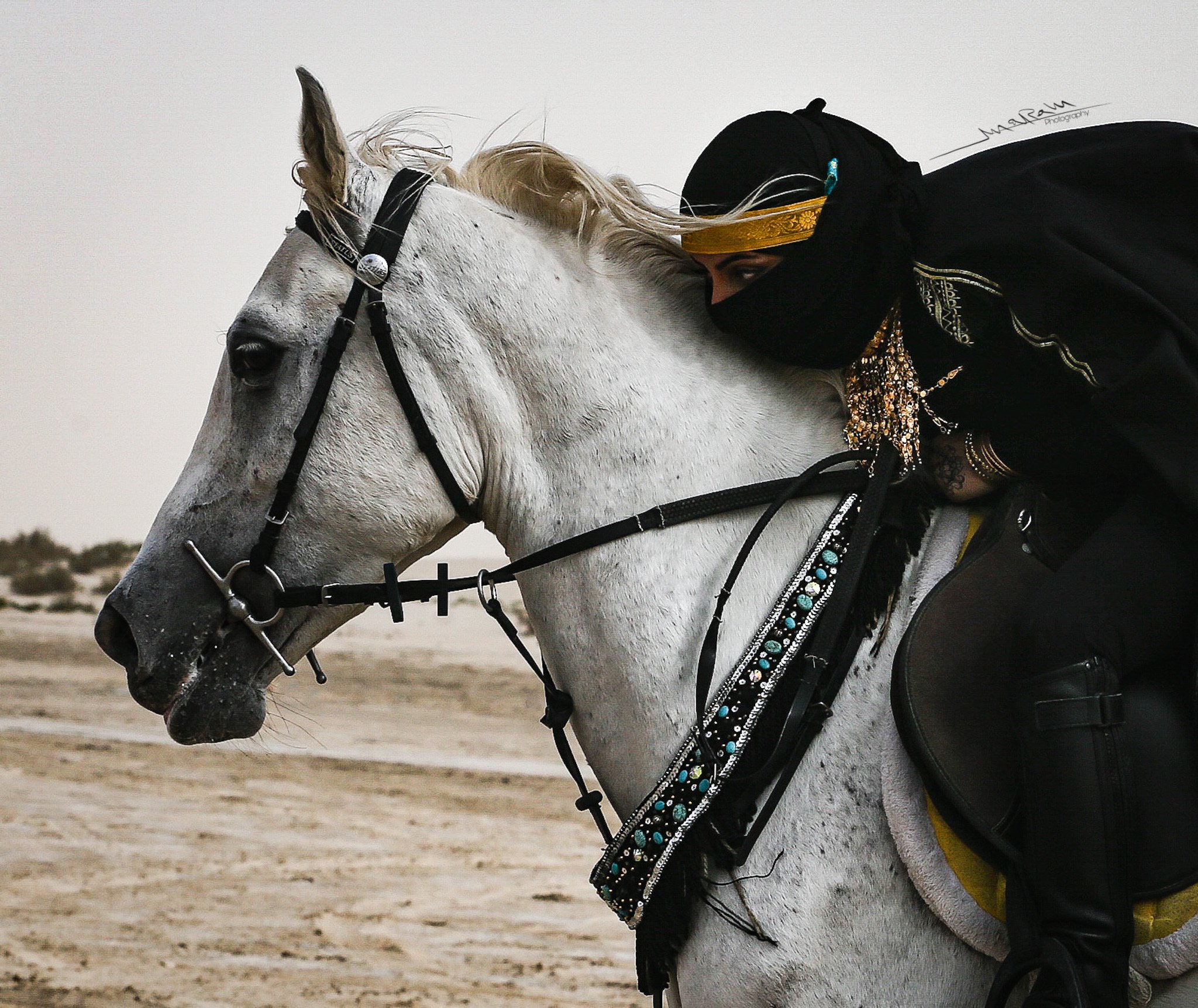 تصوير الخيل في بر المطار