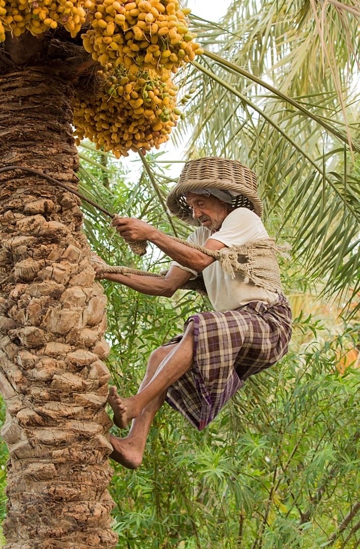 السعودية بعدسة مصور
