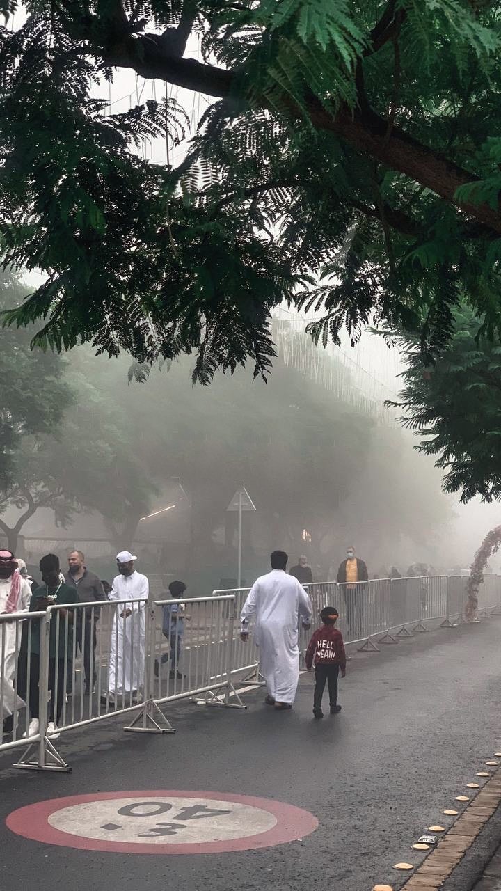 محور  الشتاء