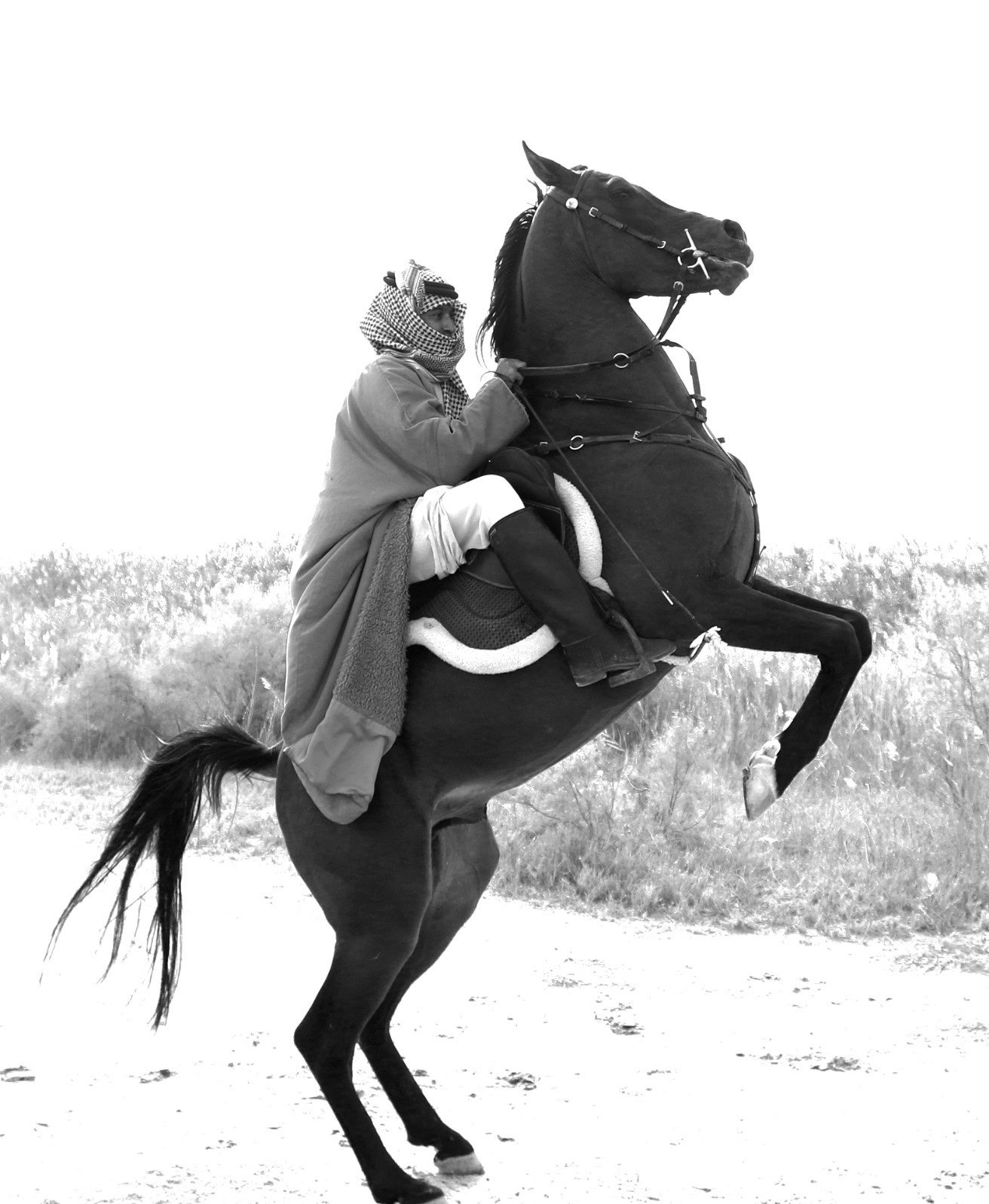 مسابقة تصوير بنمط  الابيض والاسود