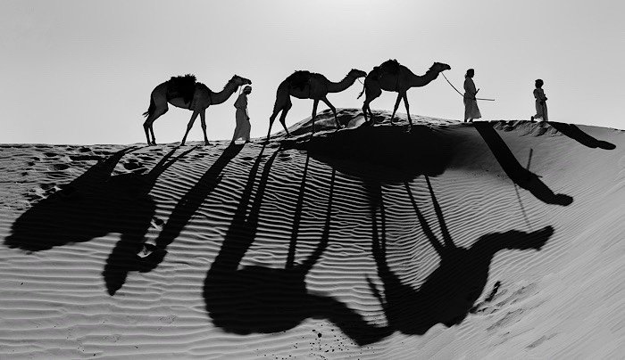 مسابقة تصوير بنمط  الابيض والاسود