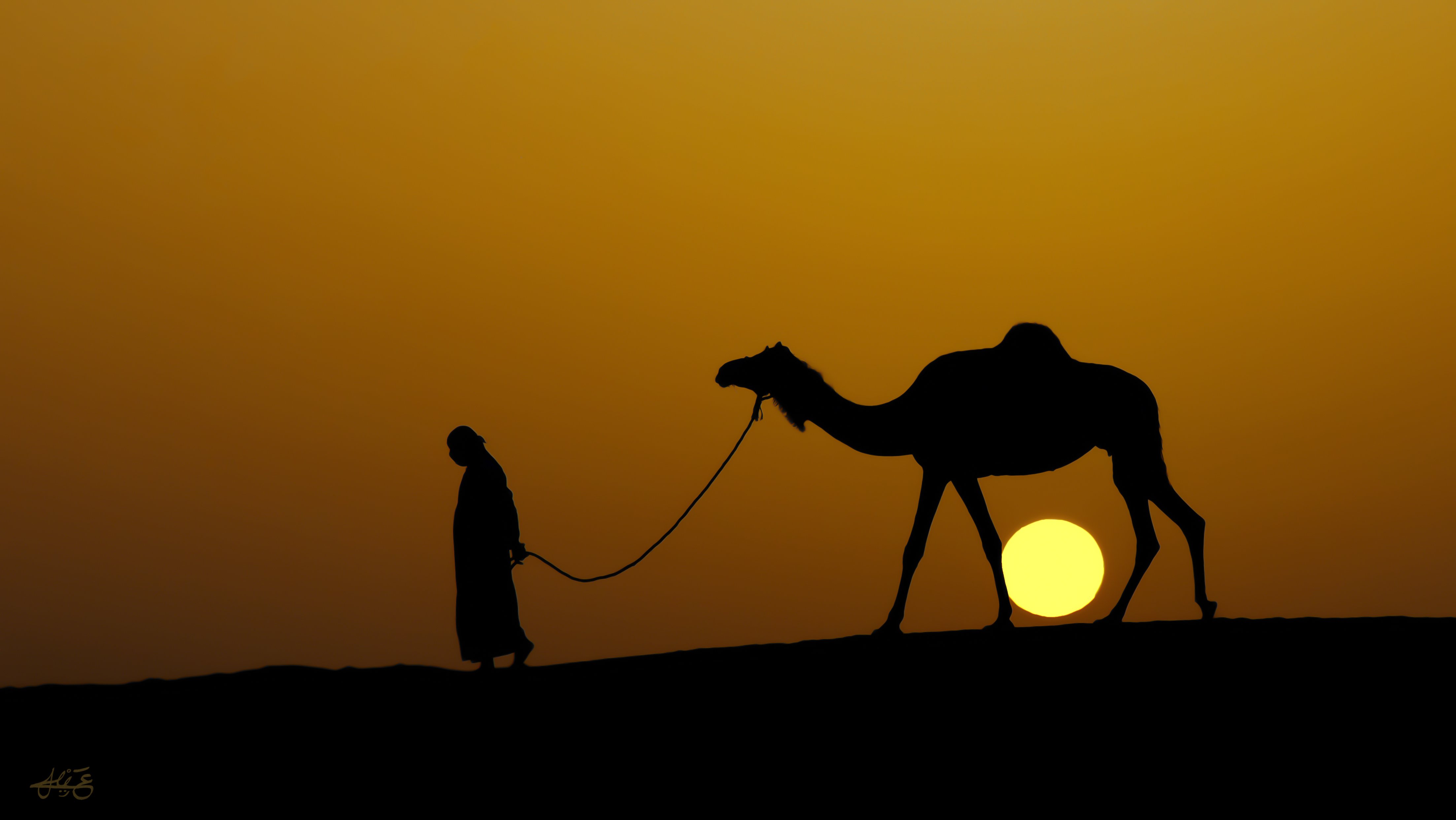 سيلويت