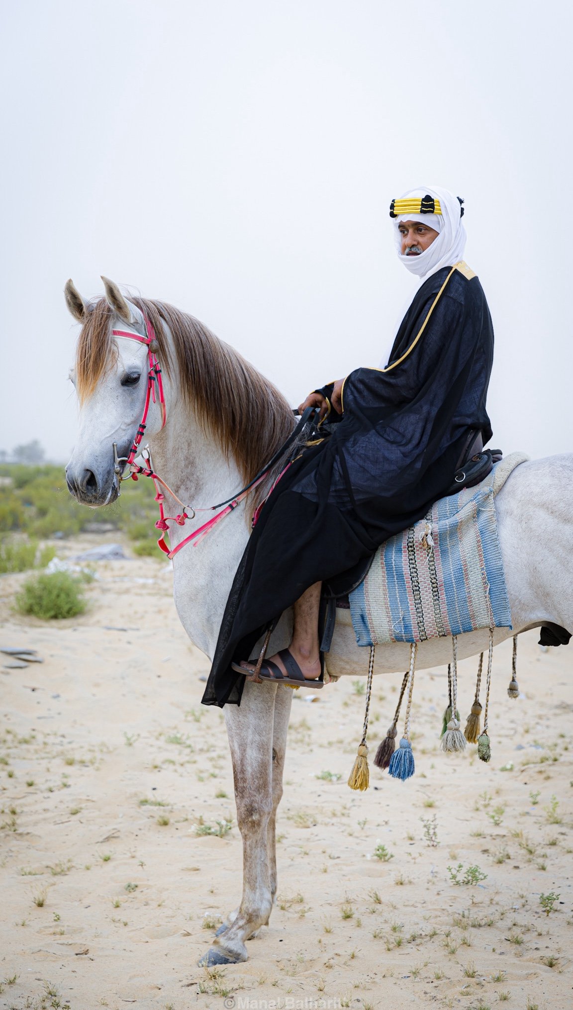 ورشة تكنيكات بالتعاون مع مربط اوصاف للخيل العربية لتصوير ثيم اليوم السعودي بتاريخ 16 فبراير 2024