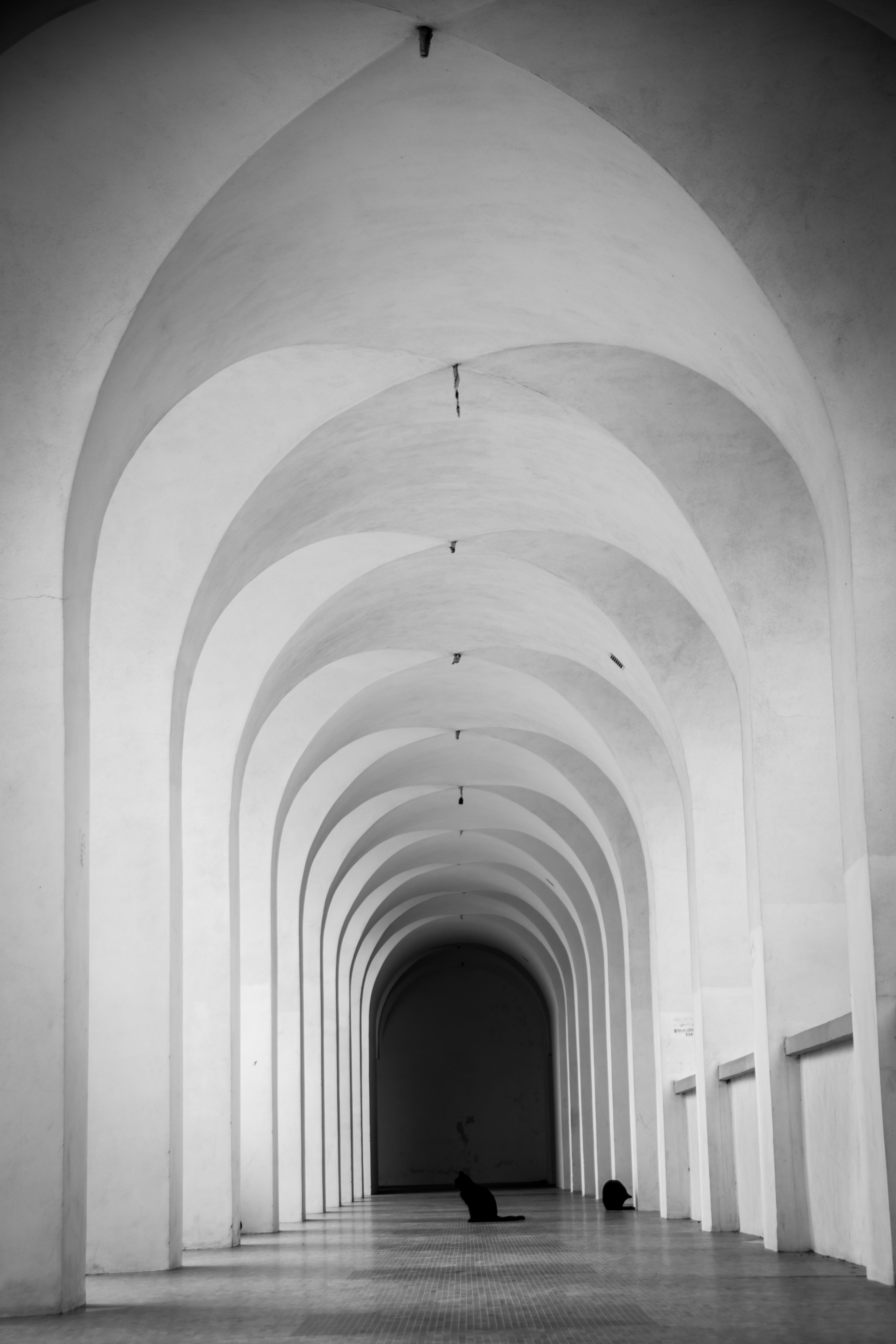 تكرار