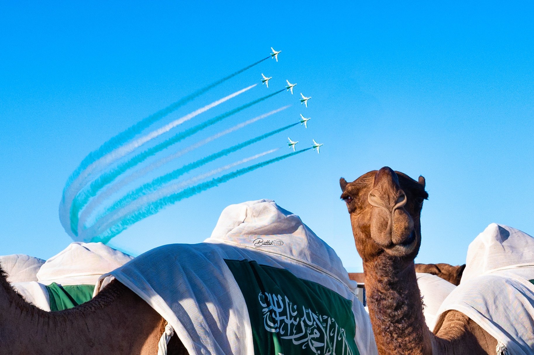 أجمل صور  لسنة 2024