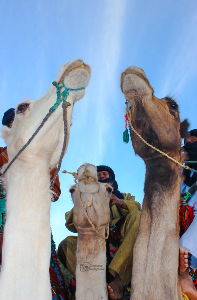 يوم الكاميرا العالمي