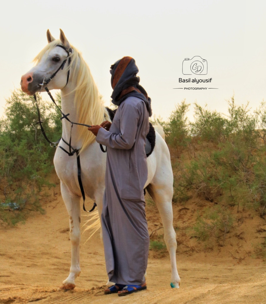 اليوم العالمي للتصوير