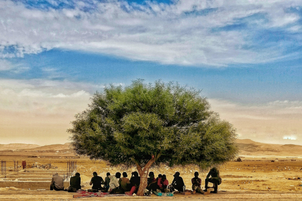 اليوم العالمي للتصوير