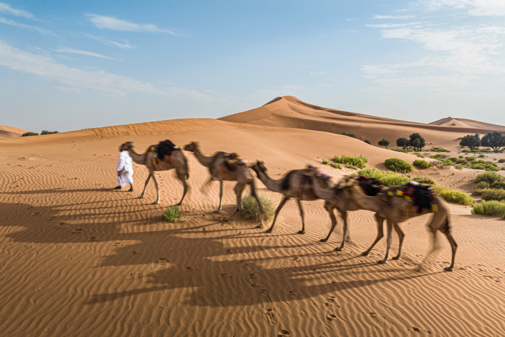اليوم العالمي للتصوير