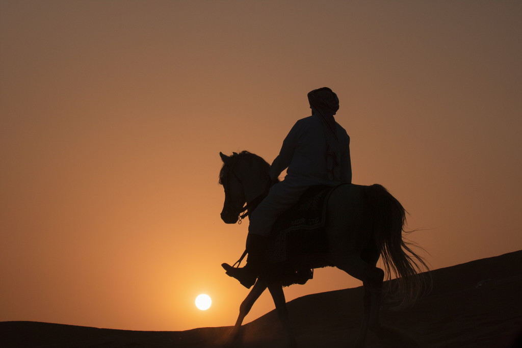 اليوم العالمي للتصوير
