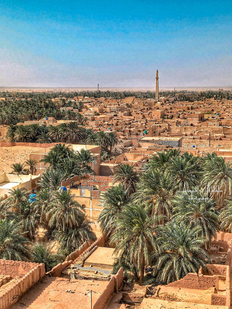 نبض من مدينتي