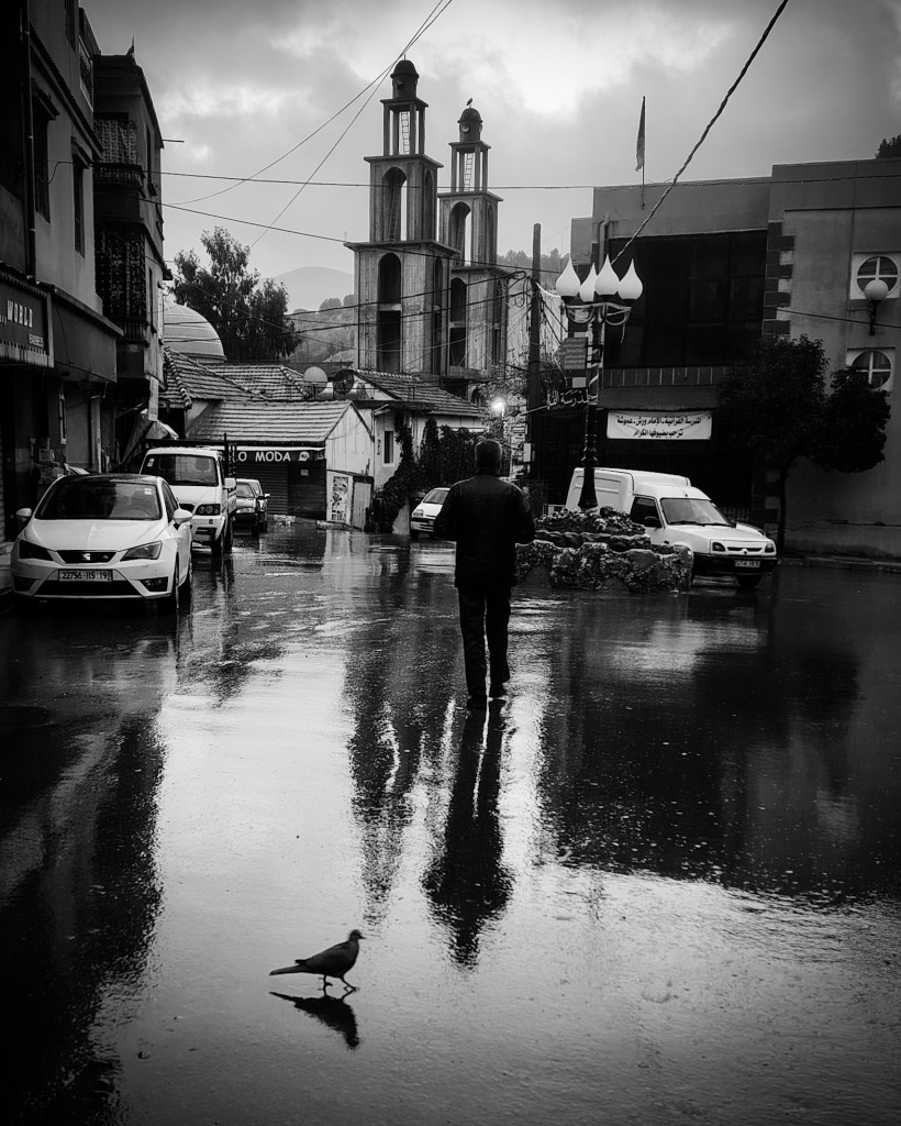 نبض من مدينتي