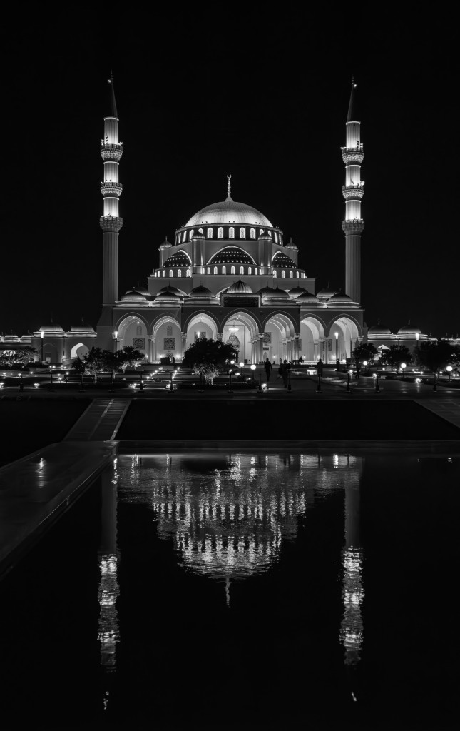 ابداع سنة 2025