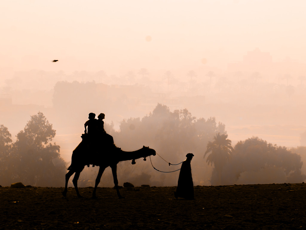 ابداع سنة 2025