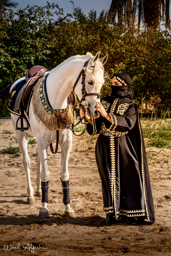 ورشة تصوير الخيل