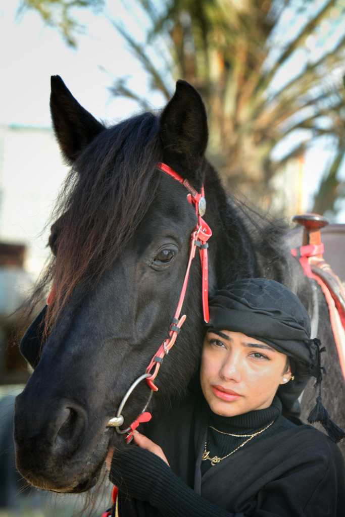 ورشة تصوير الخيل