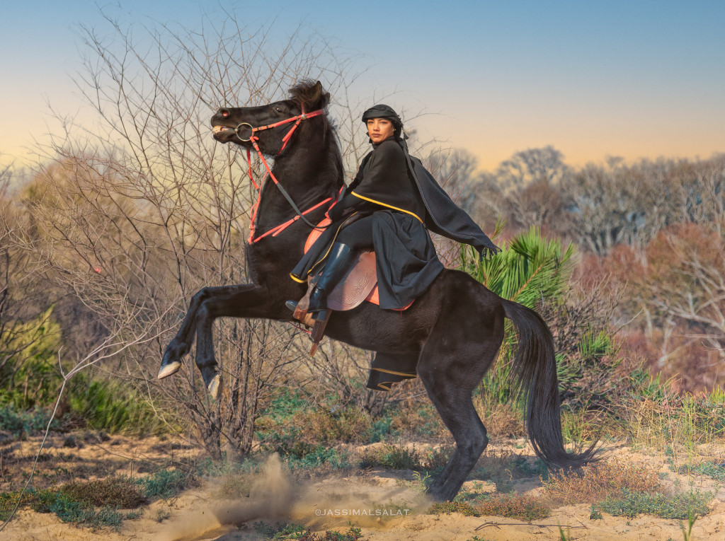 ورشة تصوير الخيل