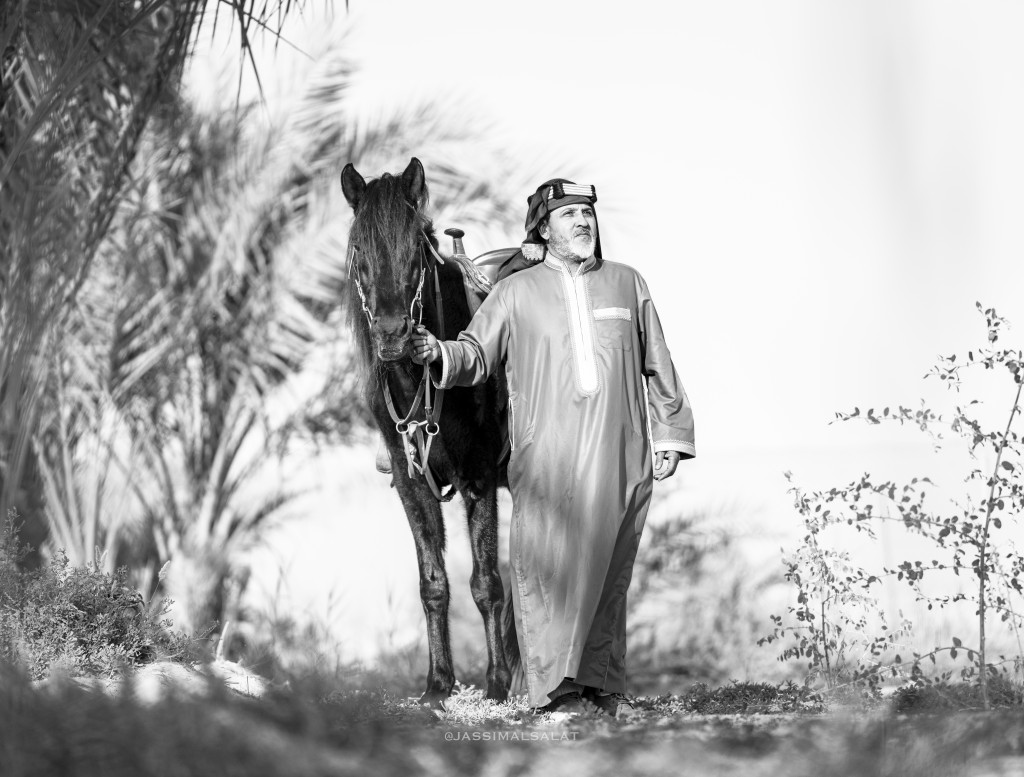 ورشة تصوير الخيل