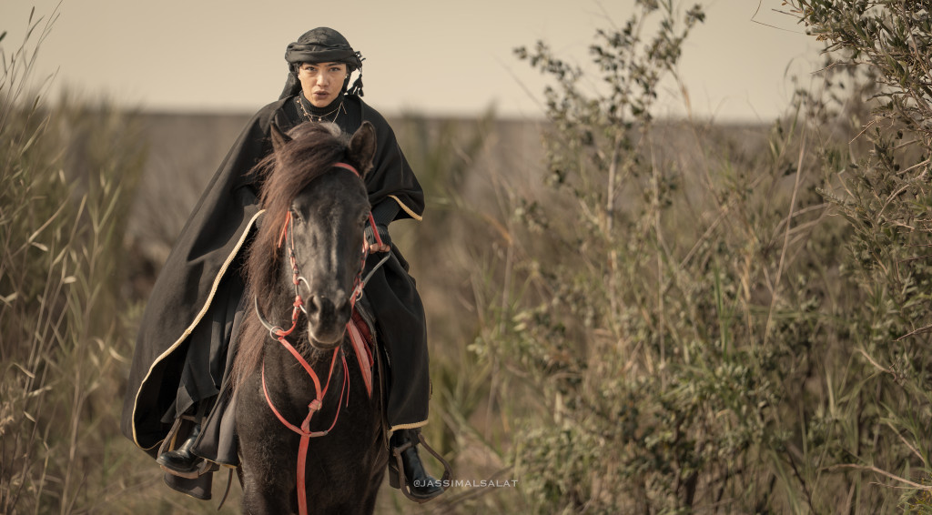 ورشة تصوير الخيل