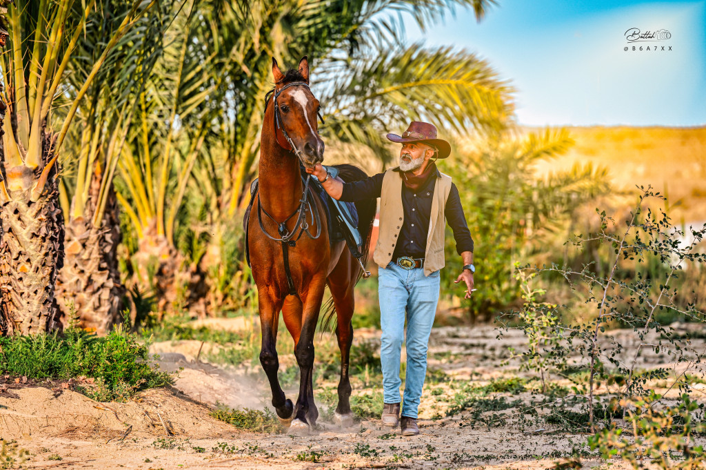 ورشة تصوير الخيل
