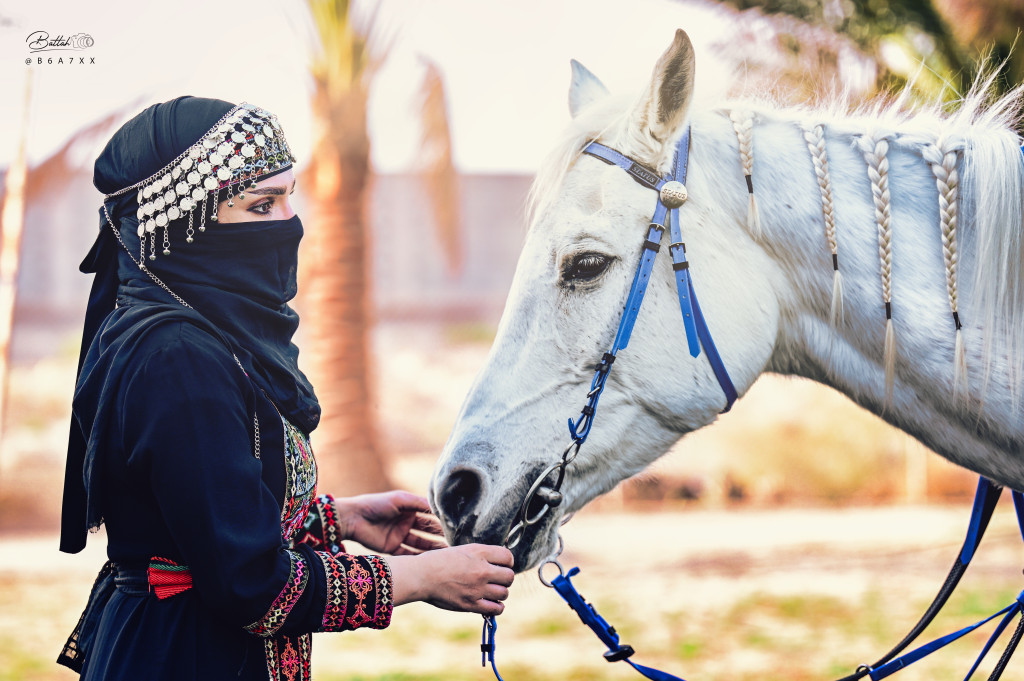 ورشة تصوير الخيل