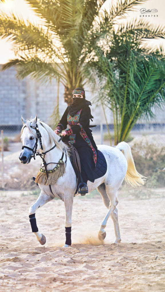 ورشة تصوير الخيل