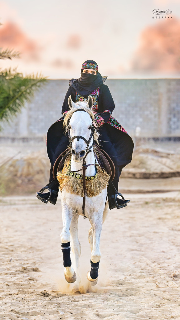 ورشة تصوير الخيل