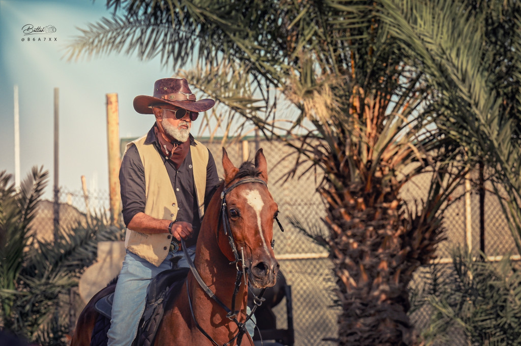 ورشة تصوير الخيل