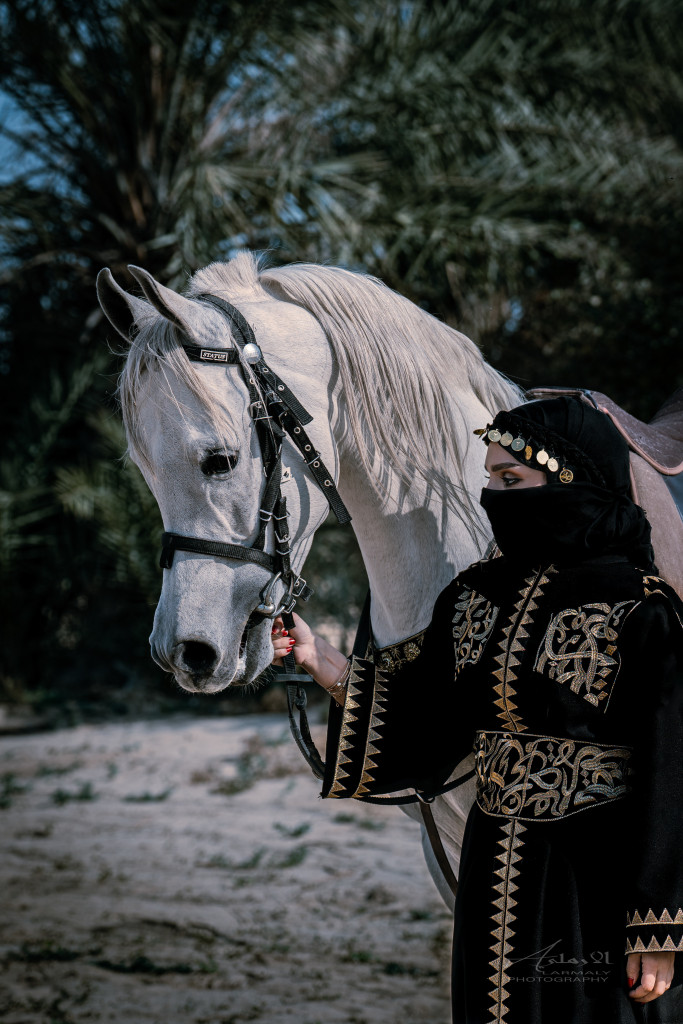 ورشة تصوير الخيل
