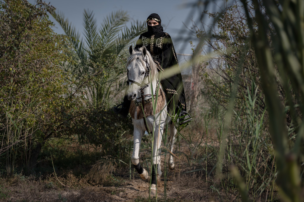 ورشة تصوير الخيل