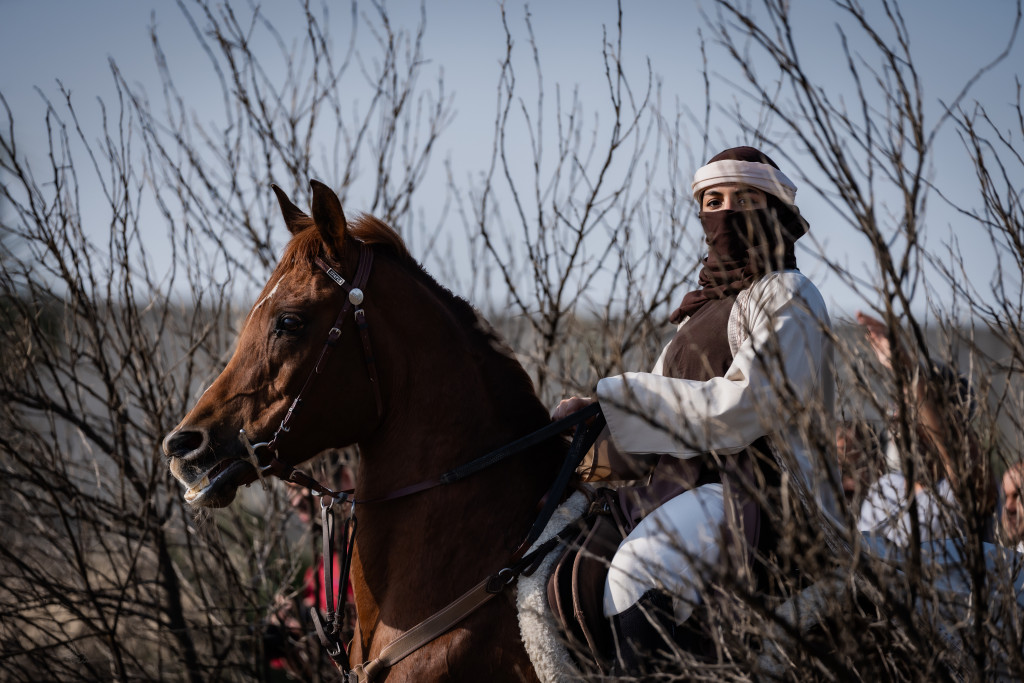 ورشة تصوير الخيل