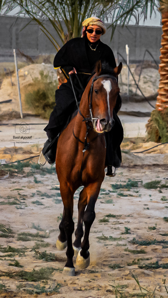 ورشة تصوير الخيل
