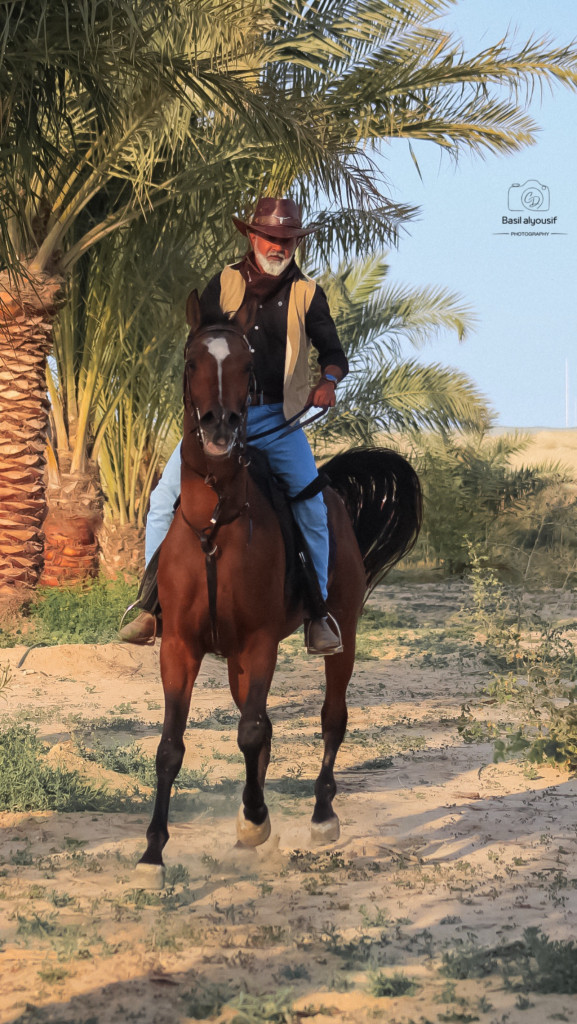 ورشة تصوير الخيل