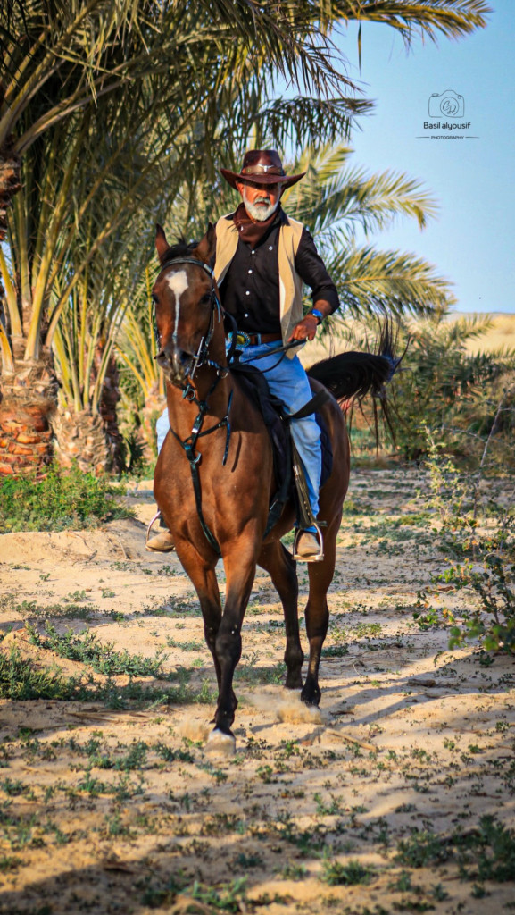 ورشة تصوير الخيل