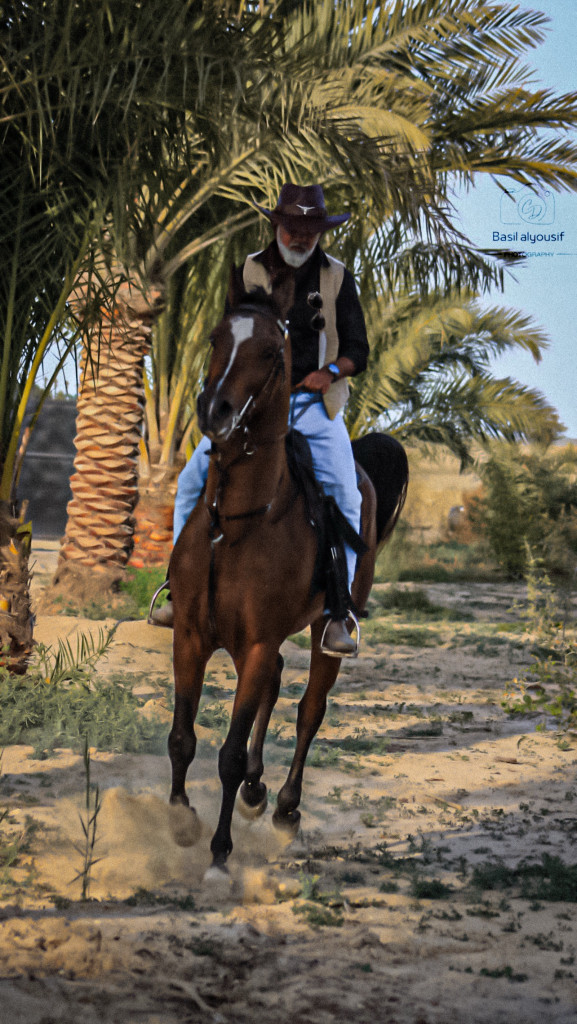 ورشة تصوير الخيل