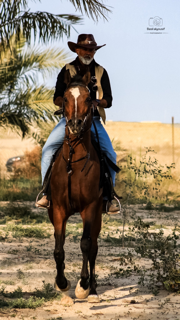 ورشة تصوير الخيل