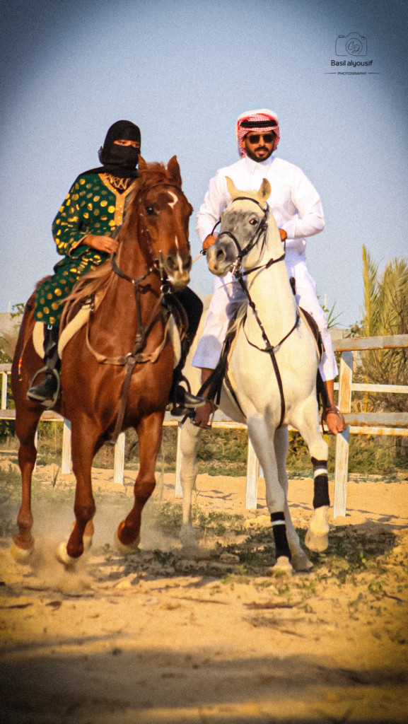 ورشة تصوير الخيل
