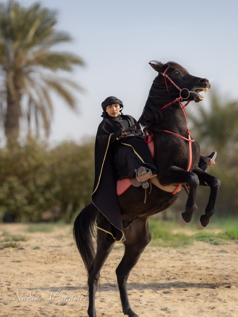 ورشة تصوير الخيل